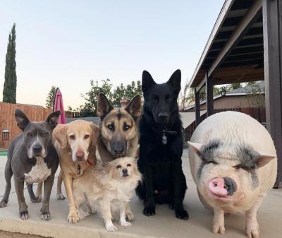 Прикрепленное изображение: 4be6e531-b0cc-44b1-a8fb-7b1ca598dee2.jpg